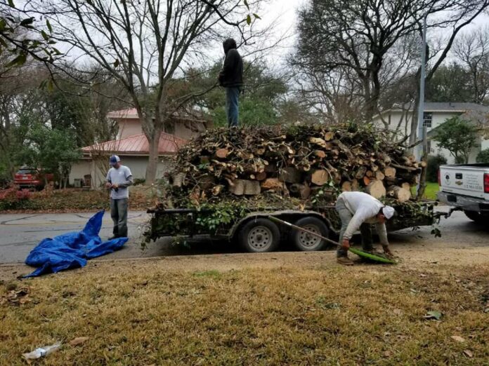 tree cutting services San Antonio