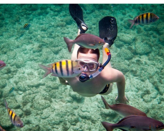 snorkeling instructor Miami FL