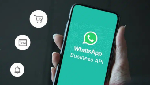 Whatsapp Business Api