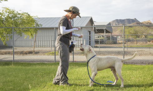 Real world leash handling Arizona